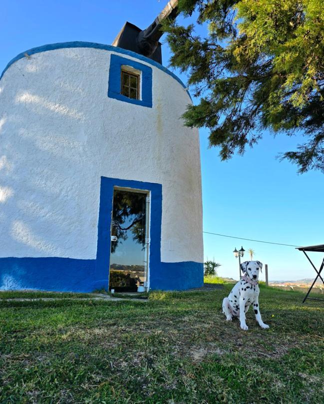 Casal Do Moinho Villa Enxara do Bispo Eksteriør bilde